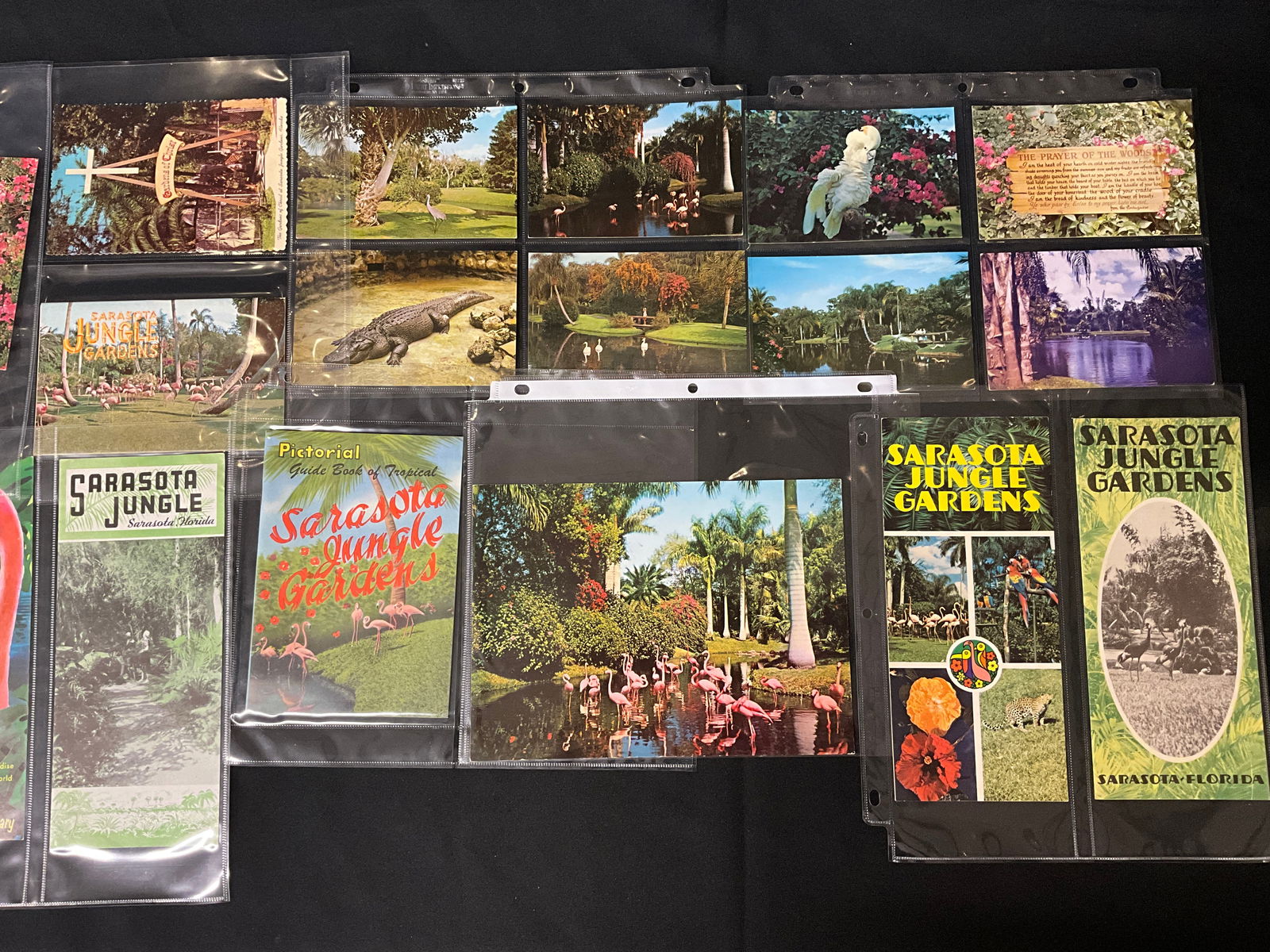 Florida Roadside Attractions, Postcard and Brochure Collection, c. 1950s-1960s - 2