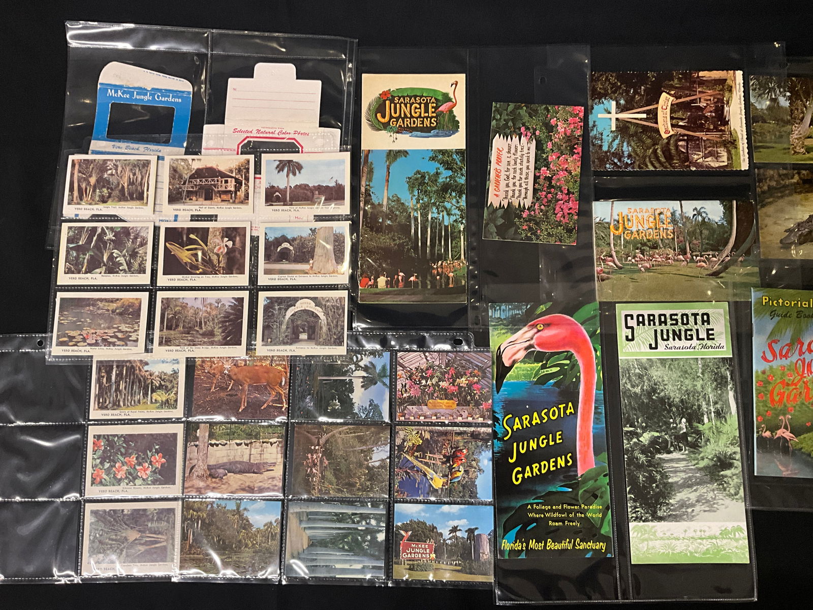 Florida Roadside Attractions, Postcard and Brochure Collection, c. 1950s-1960s - 3