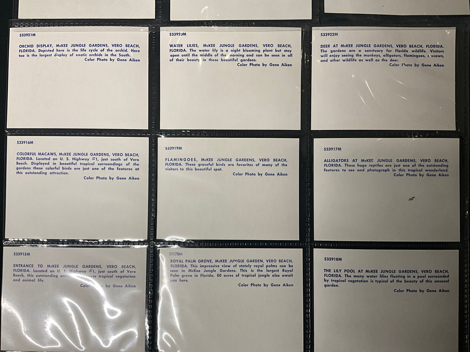 Florida Roadside Attractions, Postcard and Brochure Collection, c. 1950s-1960s - 4