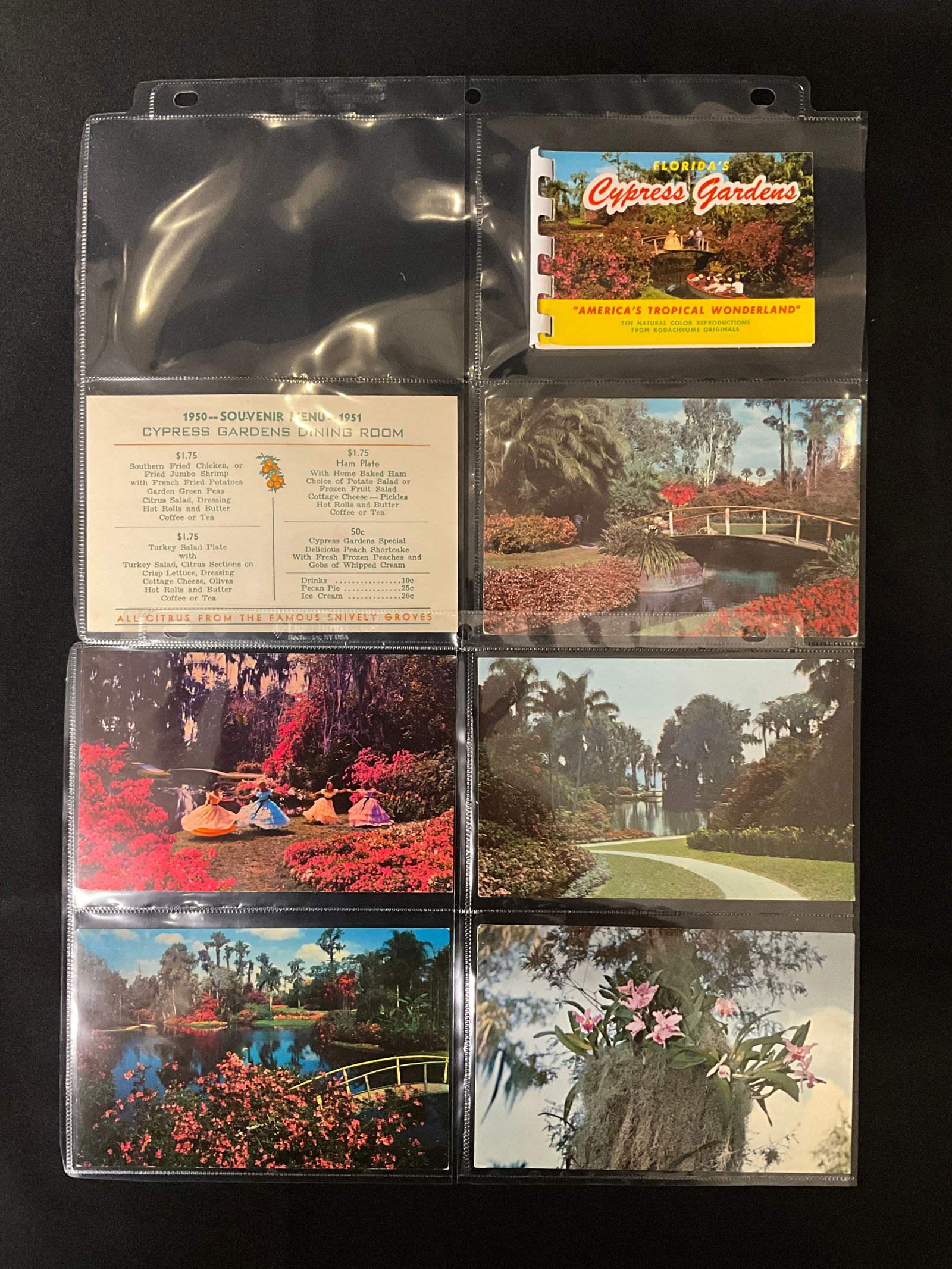 Florida Cypress Gardens Souvenir Ephemera Collection, 1950-1972 - 4