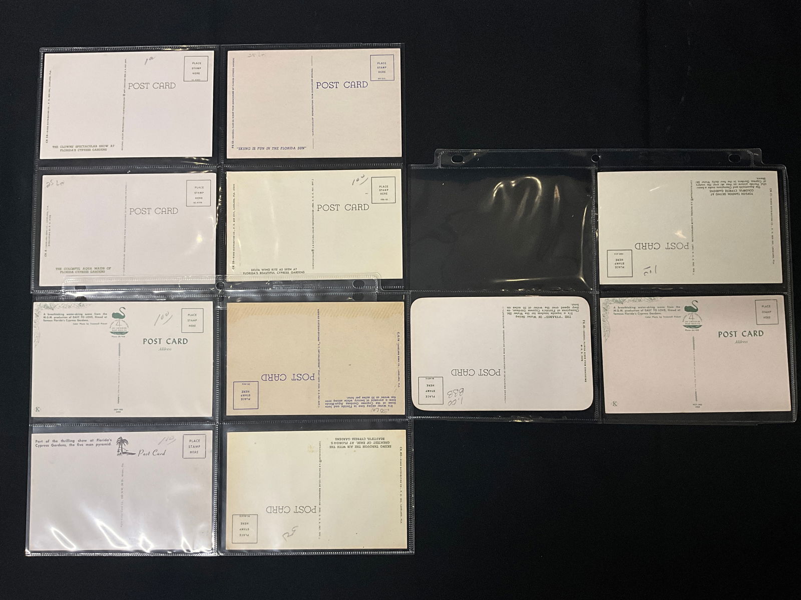 Cypress Gardens Florida Water Skiing Postcard Collection, Circa 1950s-1970s - 3