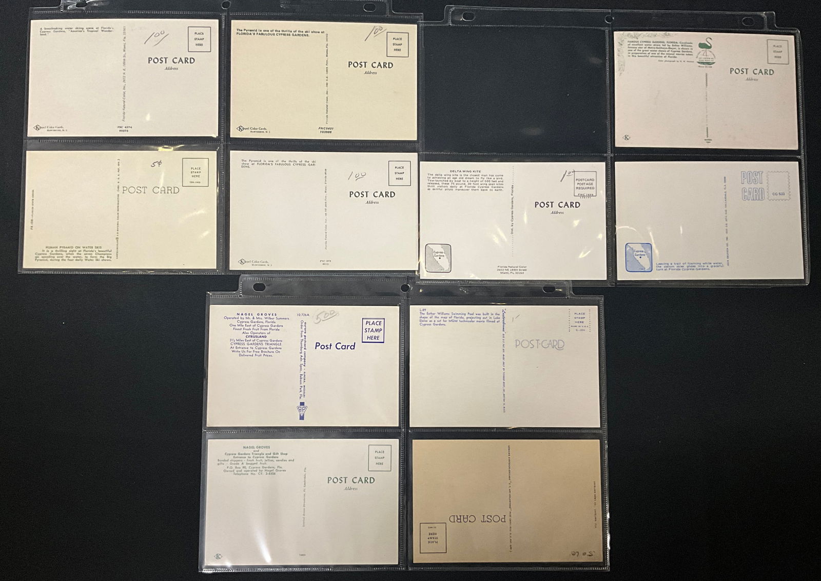 Cypress Gardens Florida Water Skiing Postcard Collection, Circa 1950s-1970s - 5