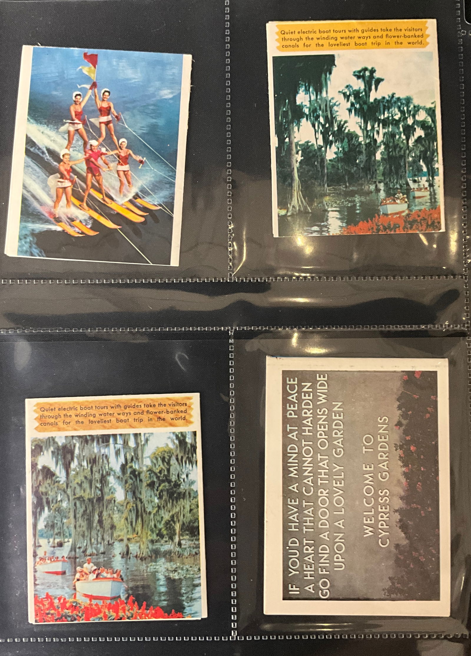 Cypress Gardens Florida, Postcard and Ephemera Lot, circa 1950s - 3