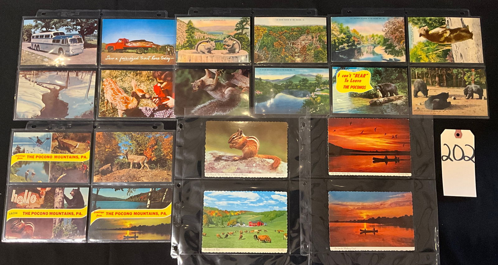 Pocono Mountains, Pennsylvania Tourism Postcards, Lot of 20, Circa 1950s-1970s (1 of 5)