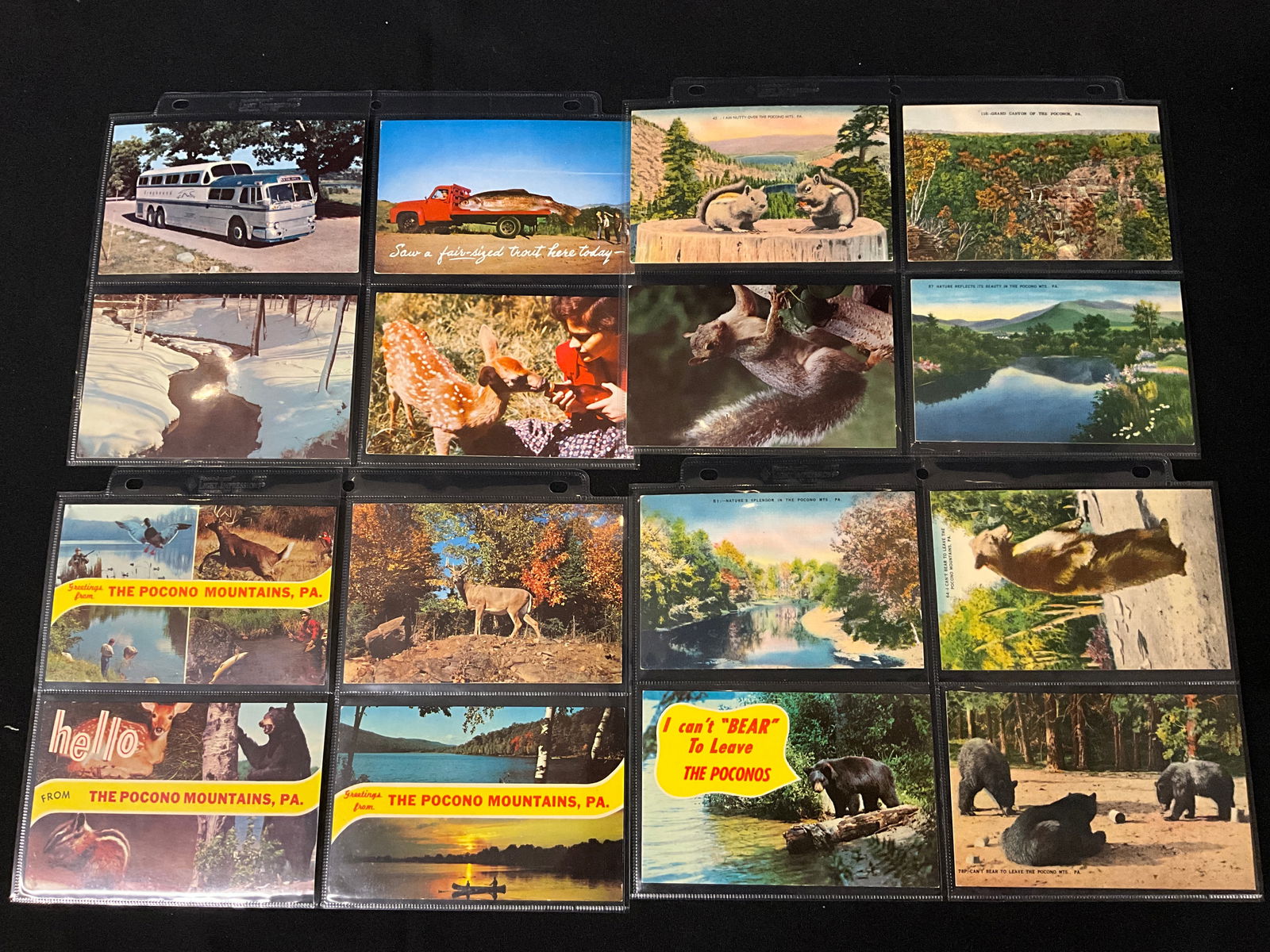 Pocono Mountains, Pennsylvania Tourism Postcards, Lot of 20, Circa 1950s-1970s - 2