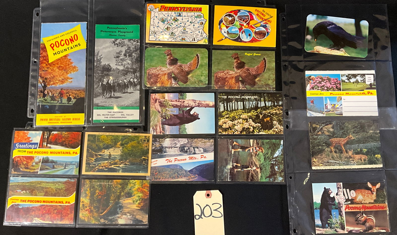 Pocono Mountains, Pennsylvania Tourism Ephemera Collection, c. 1940s-1980s (1 of 5)