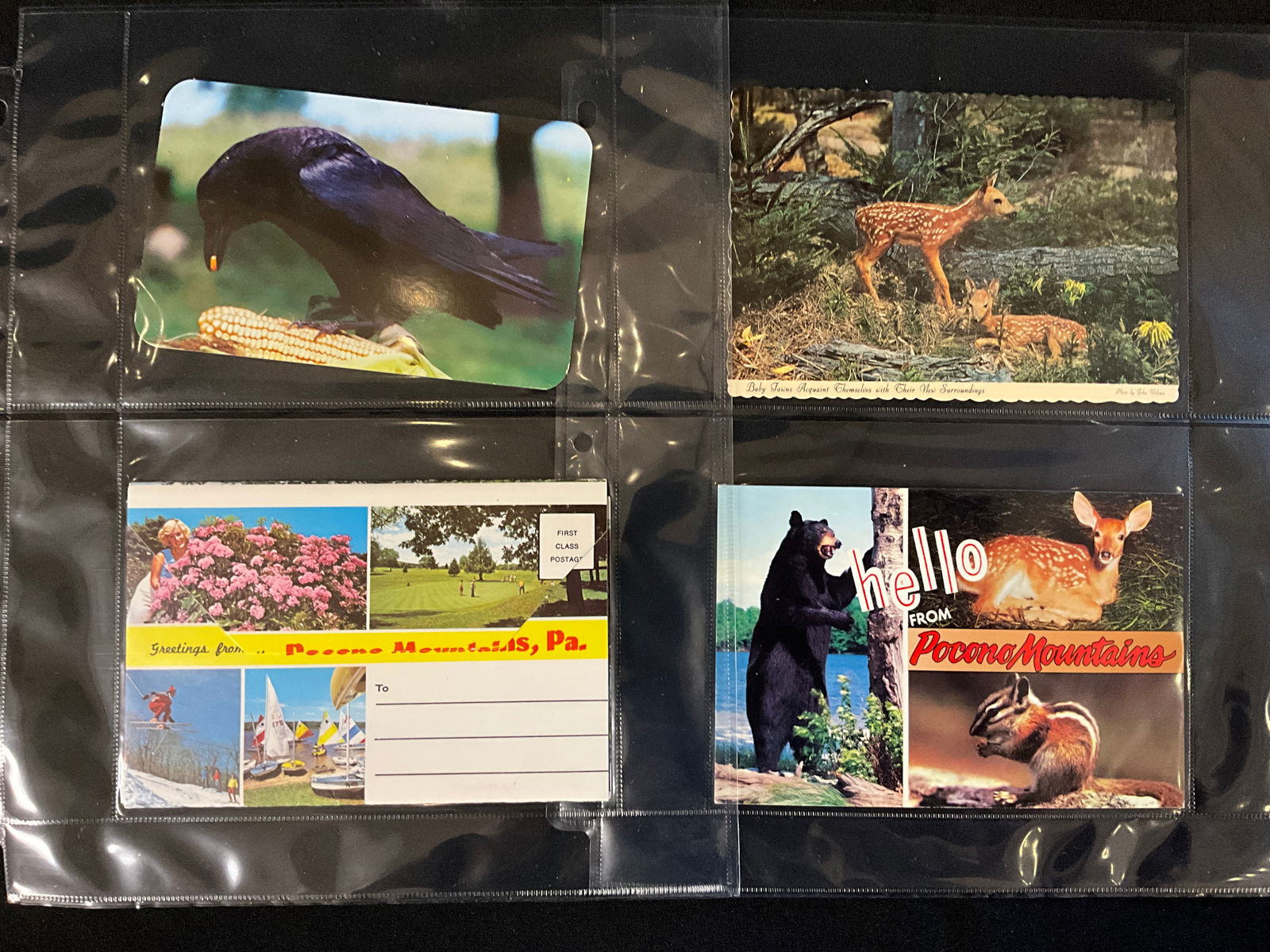 Pocono Mountains, Pennsylvania Tourism Ephemera Collection, c. 1940s-1980s - 4