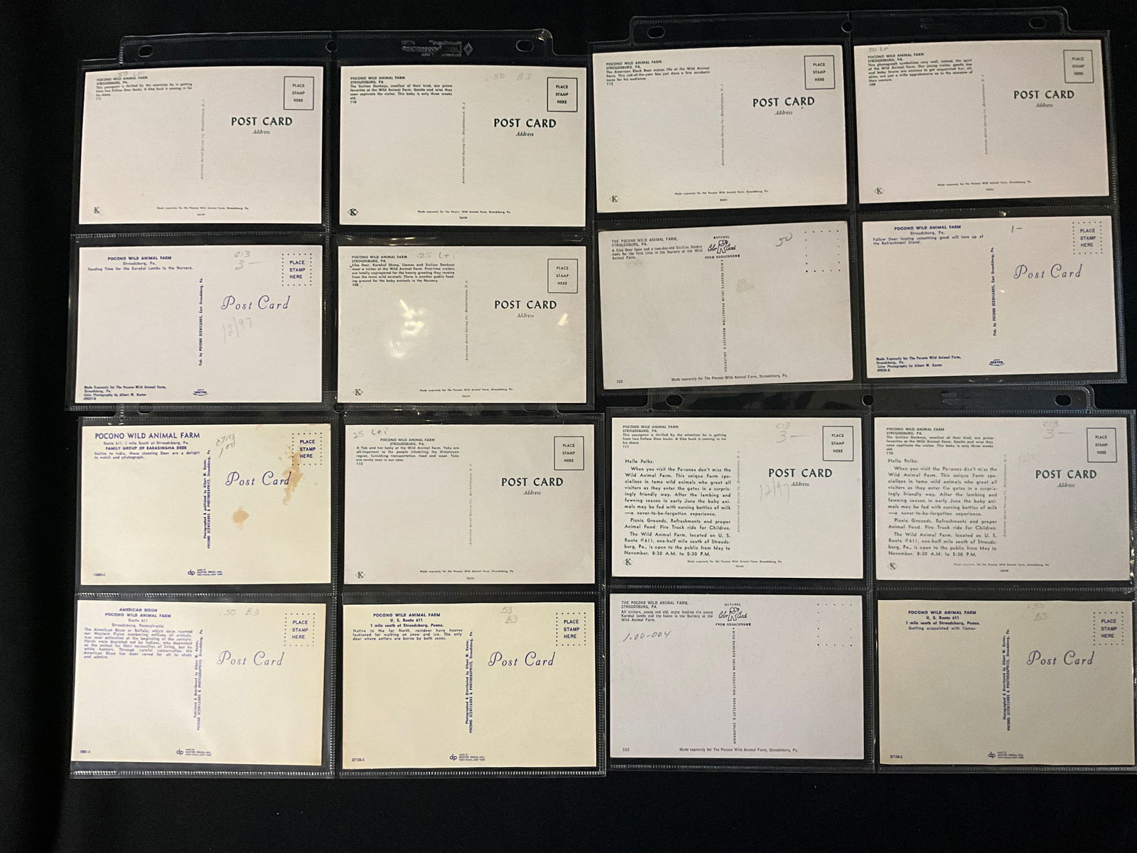 Pocono Wild Animal Farm Vintage Postcard and Ephemera Collection, c. 1950s-1970s - 3