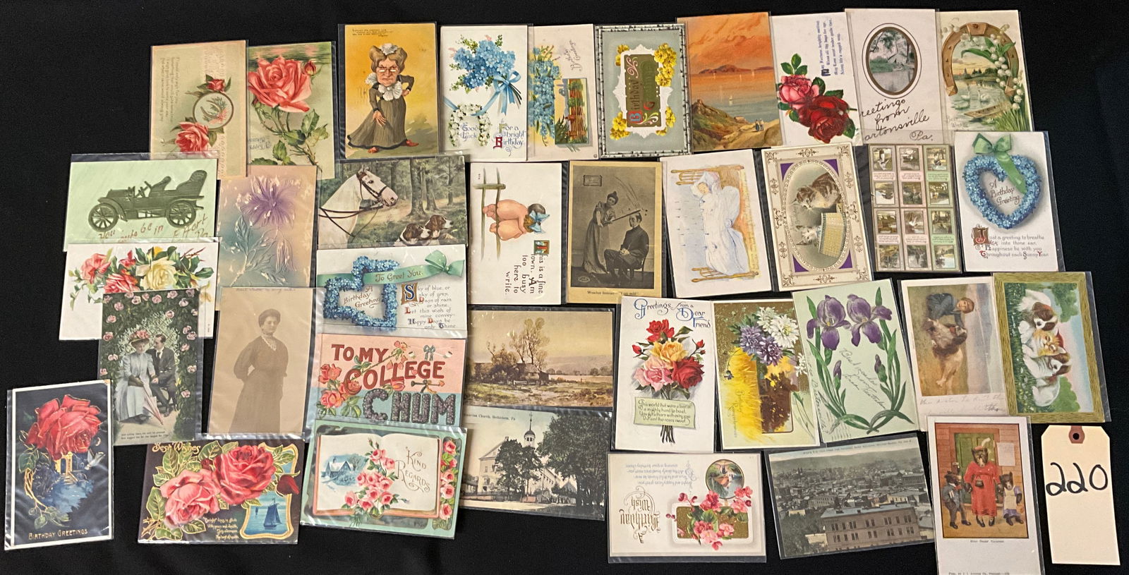 Vintage Floral, Animal, and Topographical Postcard Collection, 1907-1920 (1 of 5)