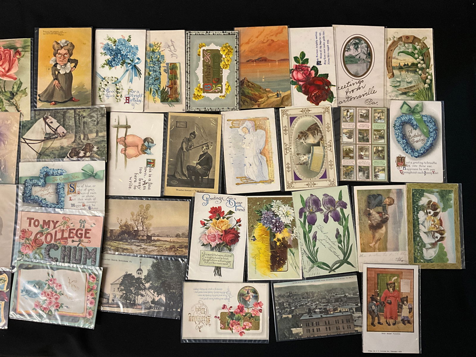 Vintage Floral, Animal, and Topographical Postcard Collection, 1907-1920 - 2