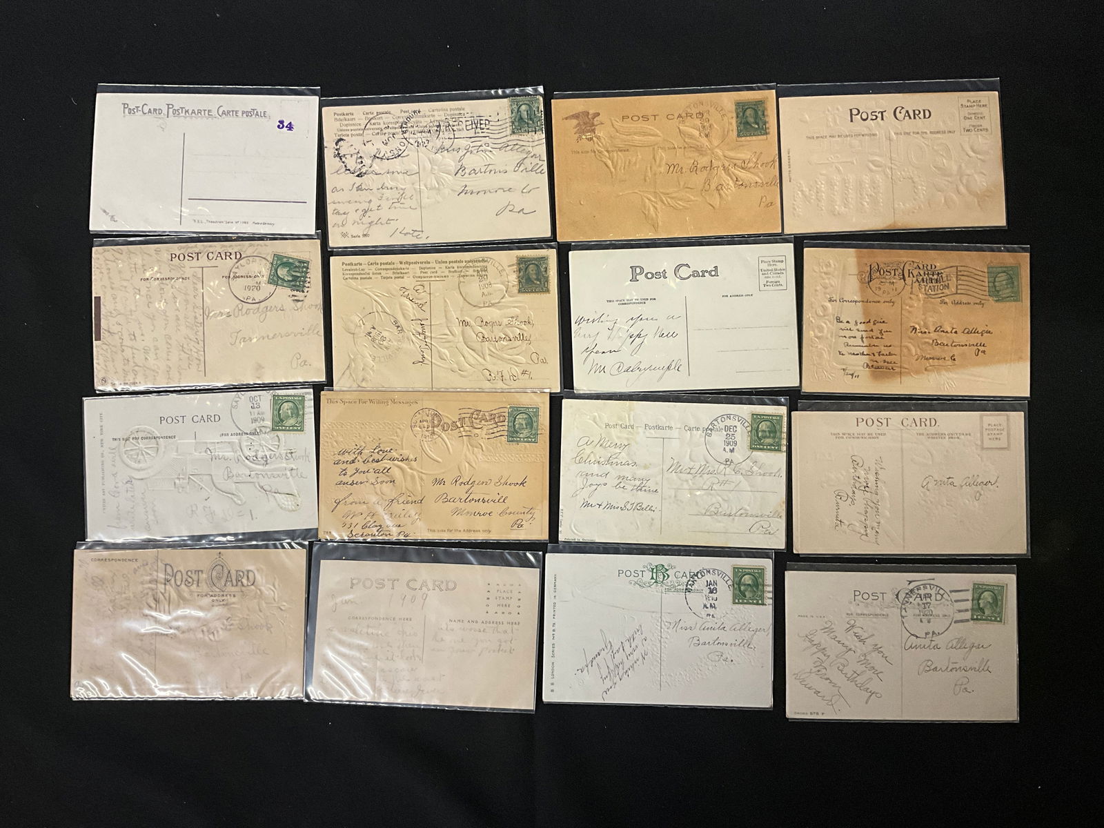 Vintage Floral, Animal, and Topographical Postcard Collection, 1907-1920 - 4