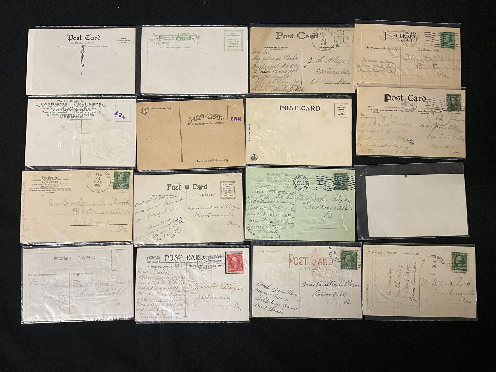 Vintage Floral, Animal, and Topographical Postcard Collection, 1907-1920 - 5