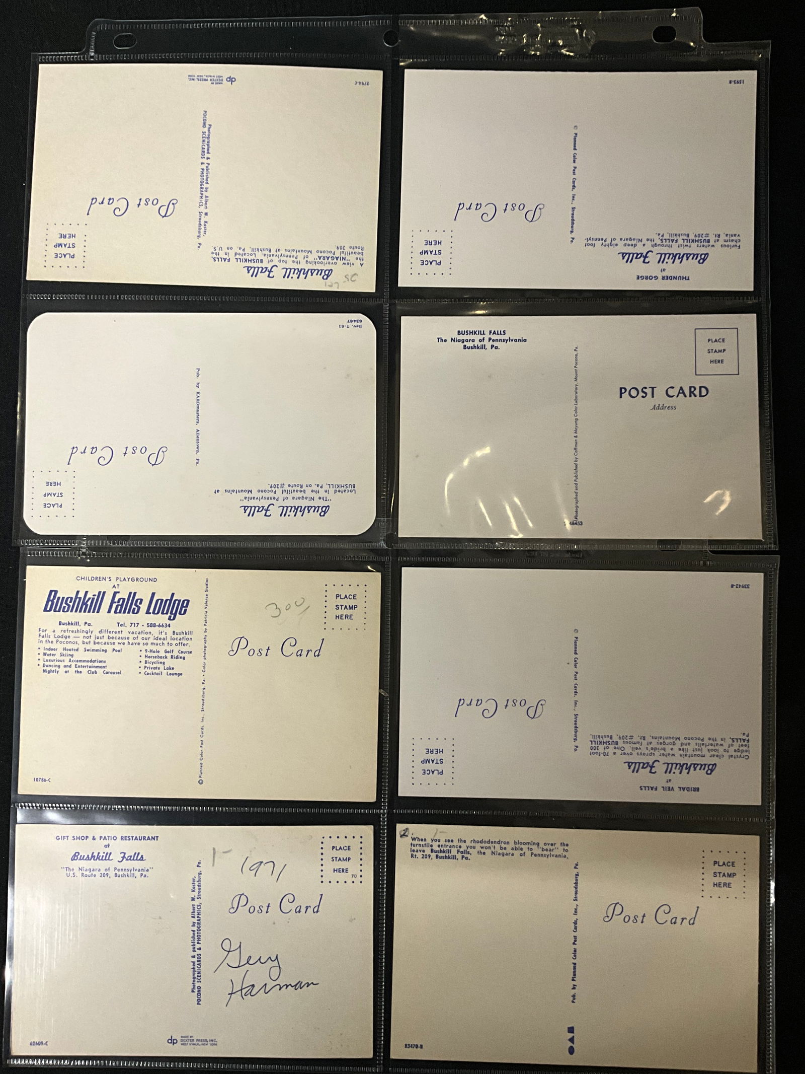 Bushkill Falls and Pocono Mountains, 20 Vintage Postcards, 1937-1971 - 5