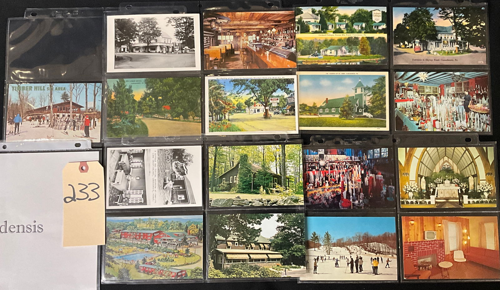 Pocono Mountains and Canadensis Pennsylvania Vintage Postcard Collection,: This collection features approximately 16 vintage postcards showcasing the tourism landscape of Canadensis and the Pocono Mountains, including linen and chrome styles from publishers like Dexter