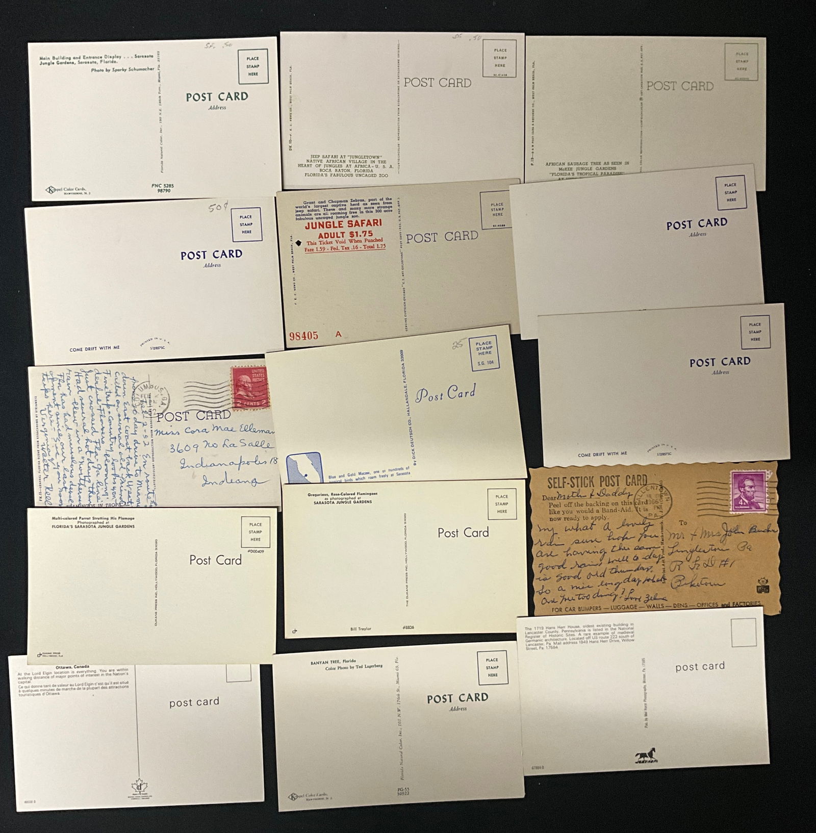 Mid-Century Florida Tourism and Wildlife Postcard Collection, 1950s-1970s - 4