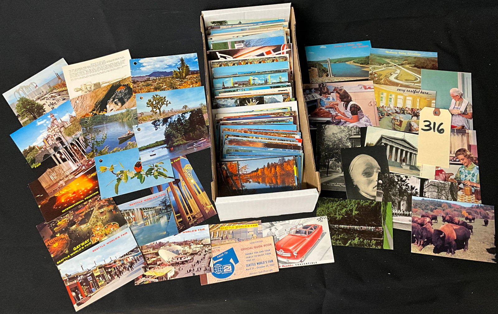 20th Century Travel and World's Fair Postcard Archive, 1908-1975 (1 of 5)