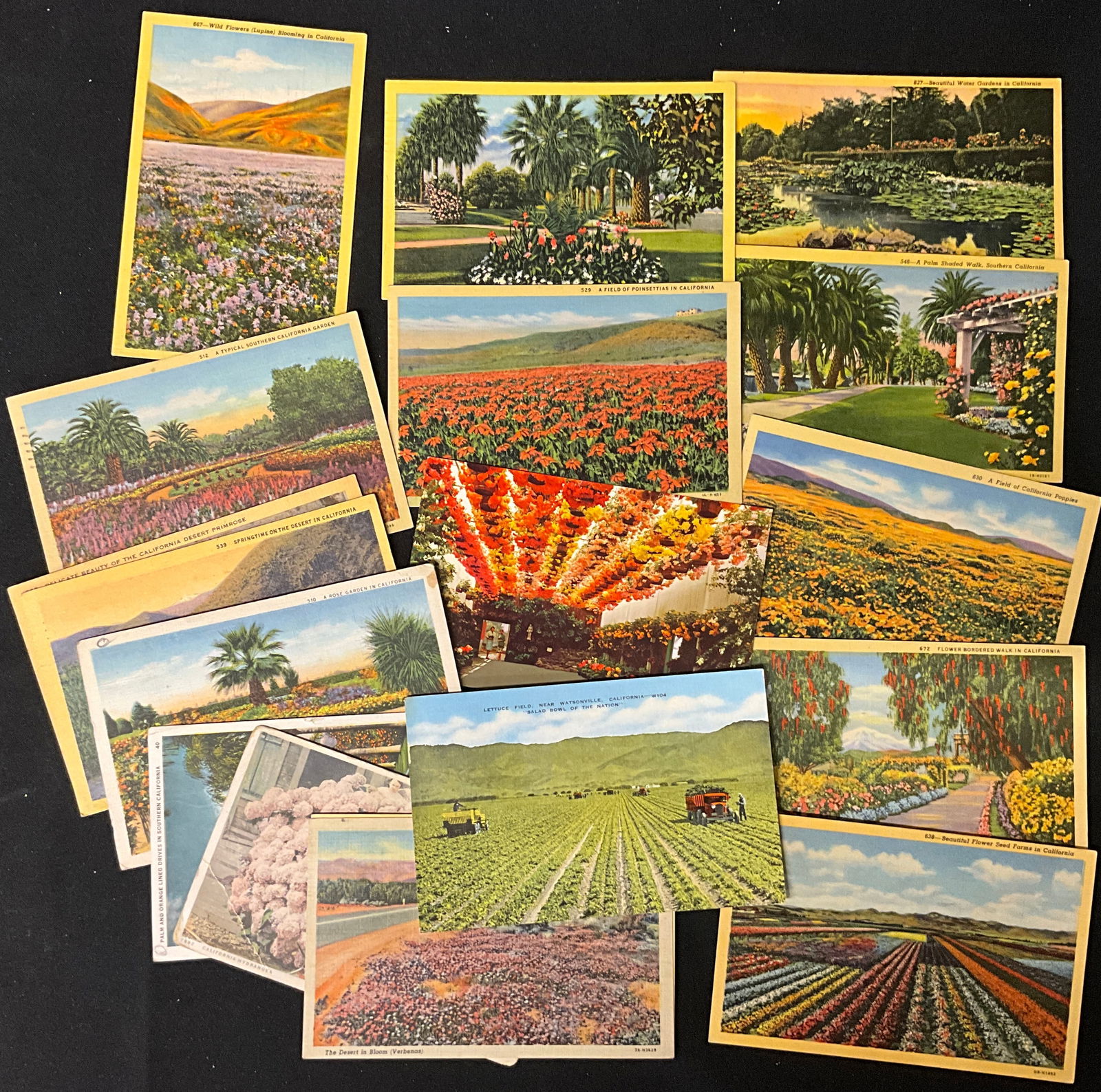 Mid-Century Topographical Linen Postcard Archive, c. 1949 - 3