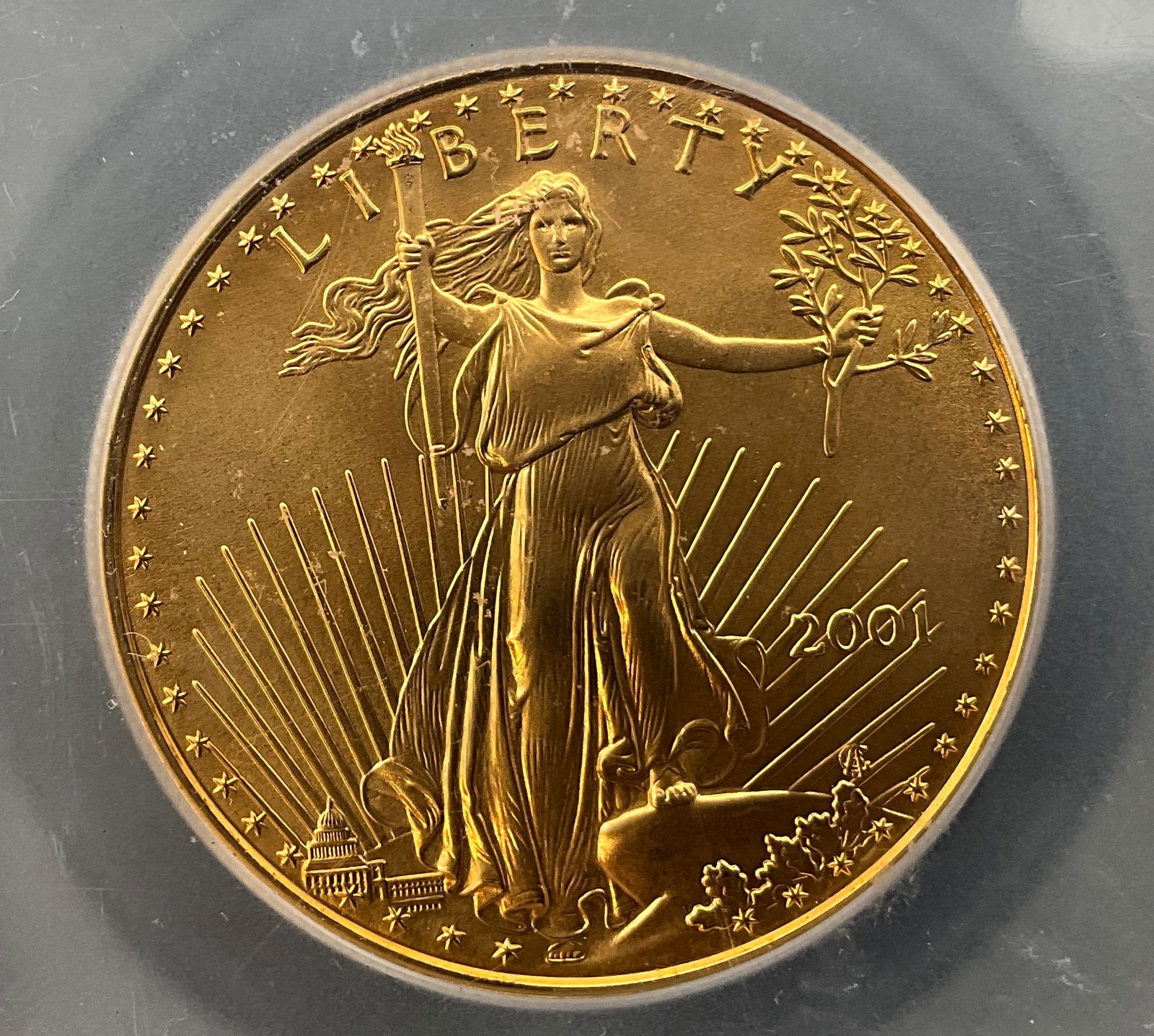 US 2001 $50 Gold Eagle, ICG MS70 - 3