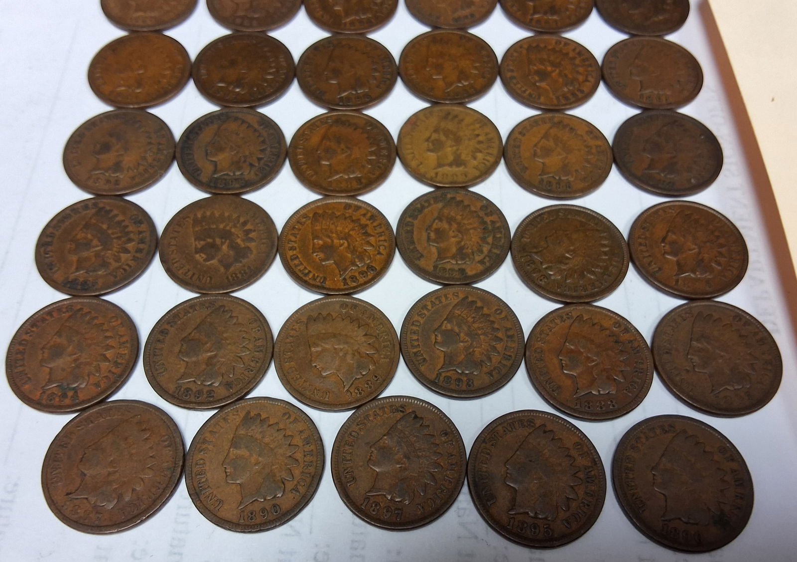 US 1883-1899 One Cent Lot, Bronze, KM-108 - 3