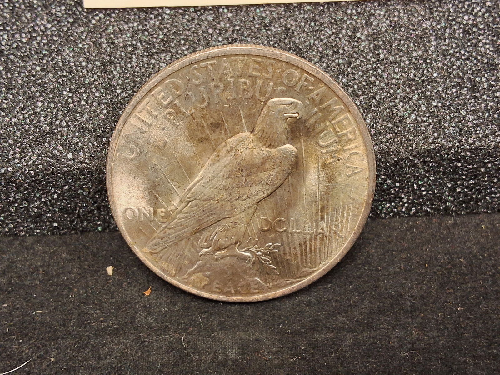 US 1922 Peace Dollar, Silver, KM-150 - 3