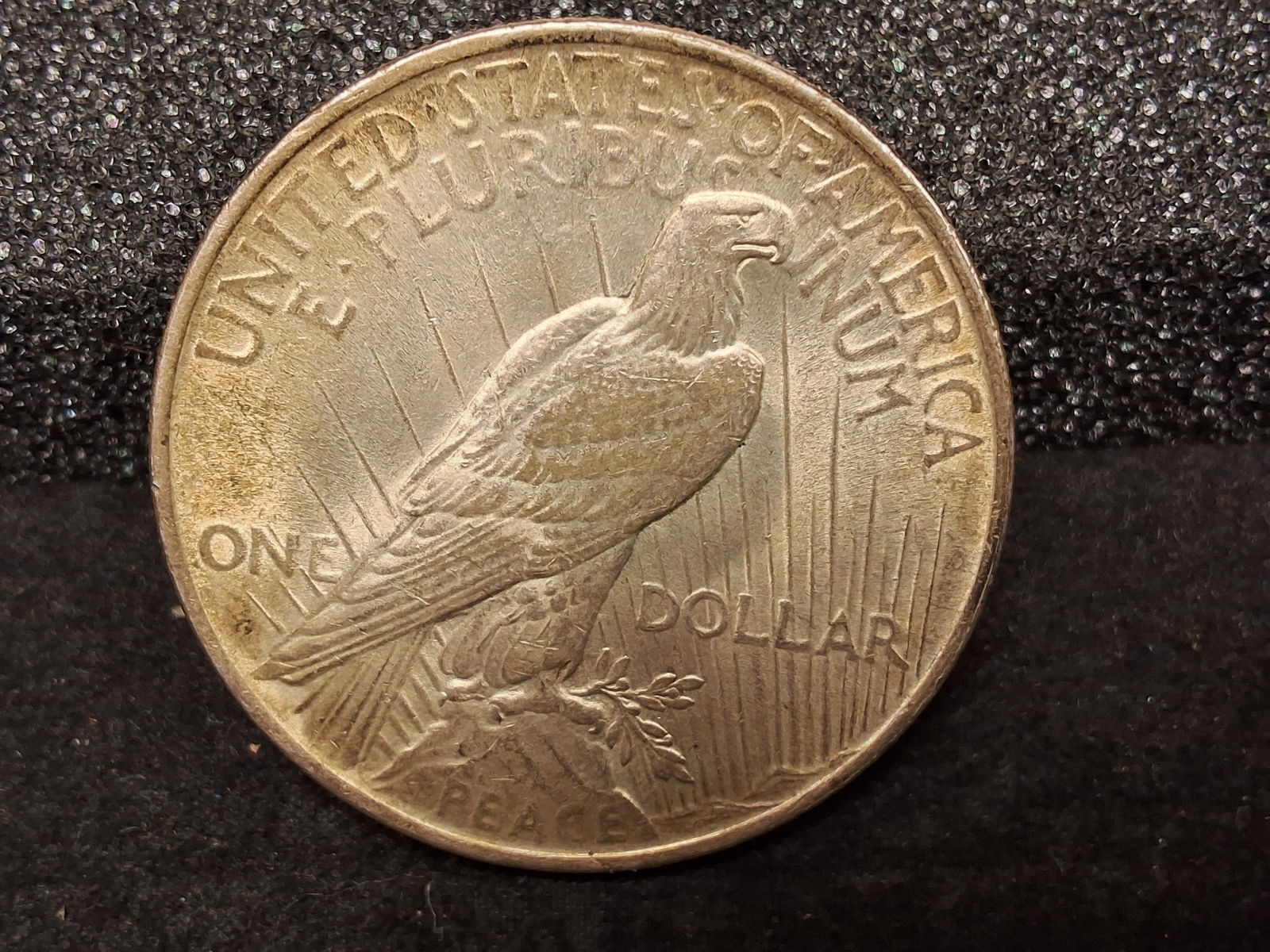 US 1924 One Dollar, Silver, KM-150 - 3