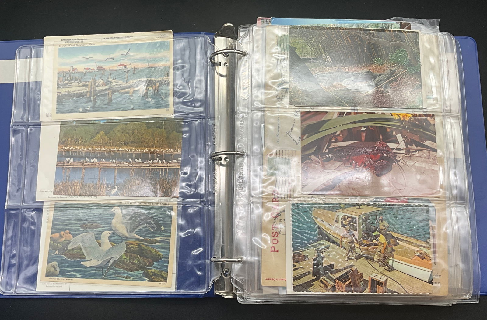 Large Ephemera Collection Binder, Postcards, Trade Cards, and Western Memorabilia, c. 1900-2006 (1 of 8)