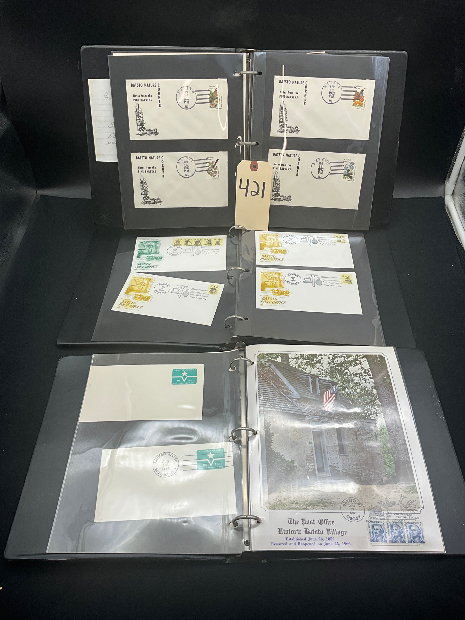 US 1979-1982 Batsto NJ Postal History and Souvenir Cover Collection: This collection comprises various philatelic items and souvenir covers primarily postmarked at Batsto, New Jersey, between 1979 and 1982. Featured issues include the 1982 State Birds and Flowers (Scot