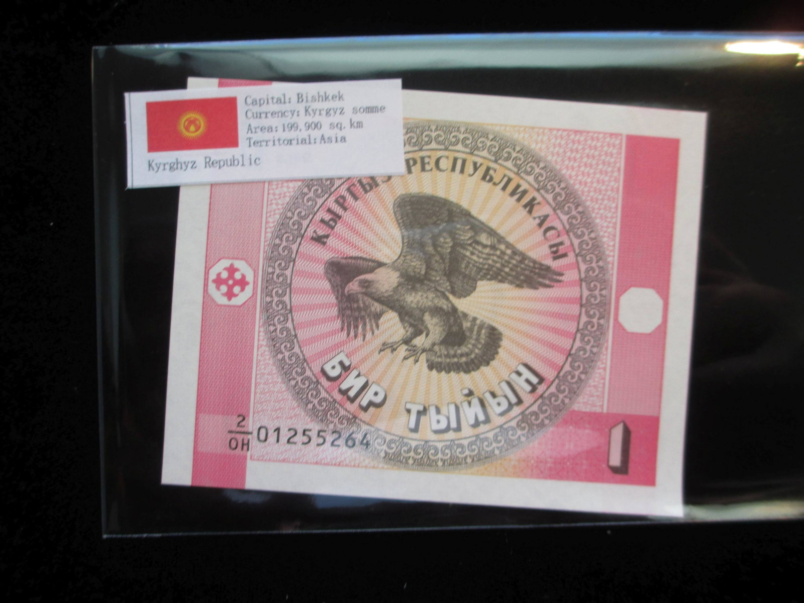 bishkek 1 currency: kyrgyz somme