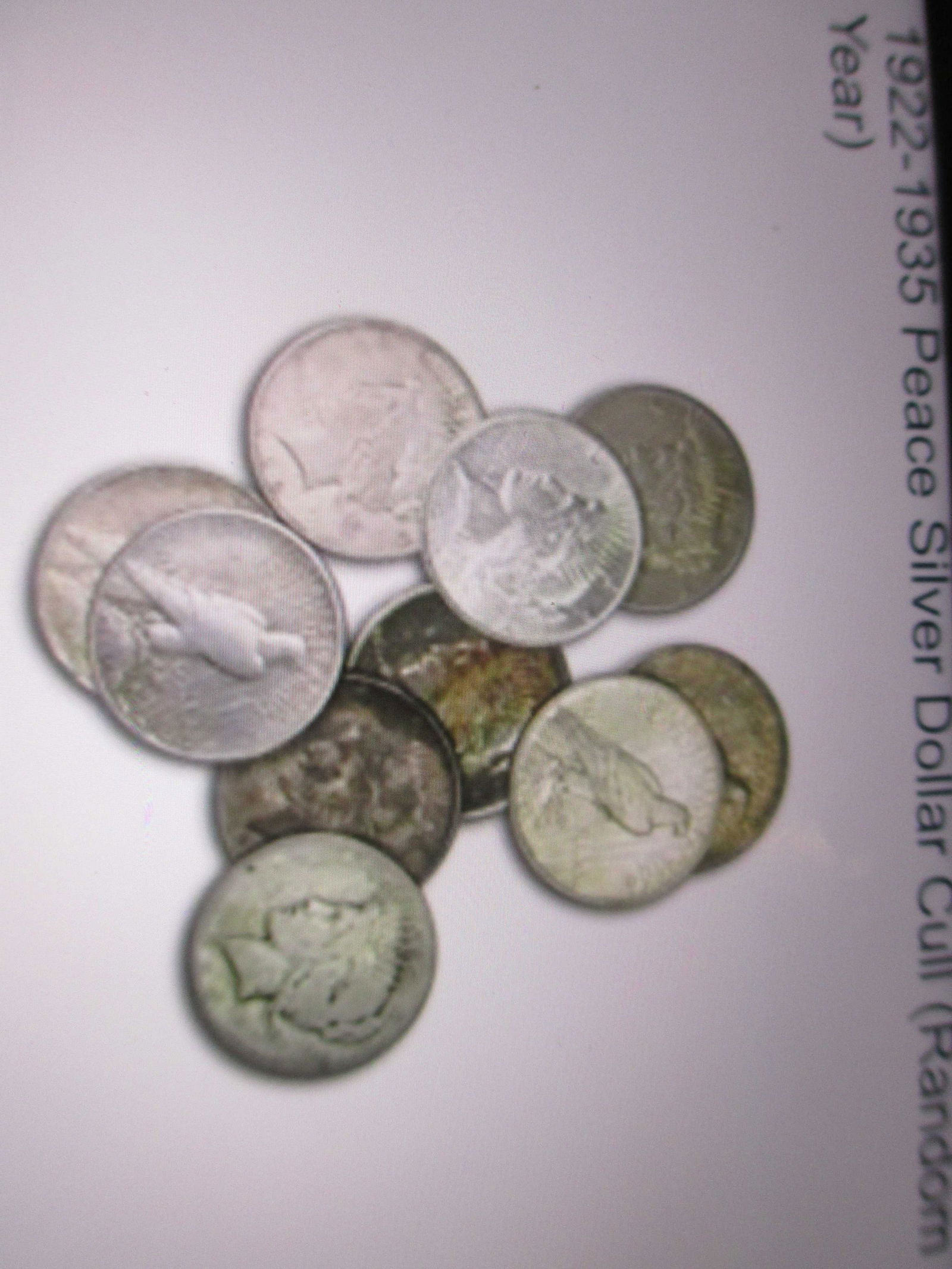 lot of 10 silver peace dollars (1 of 1)
