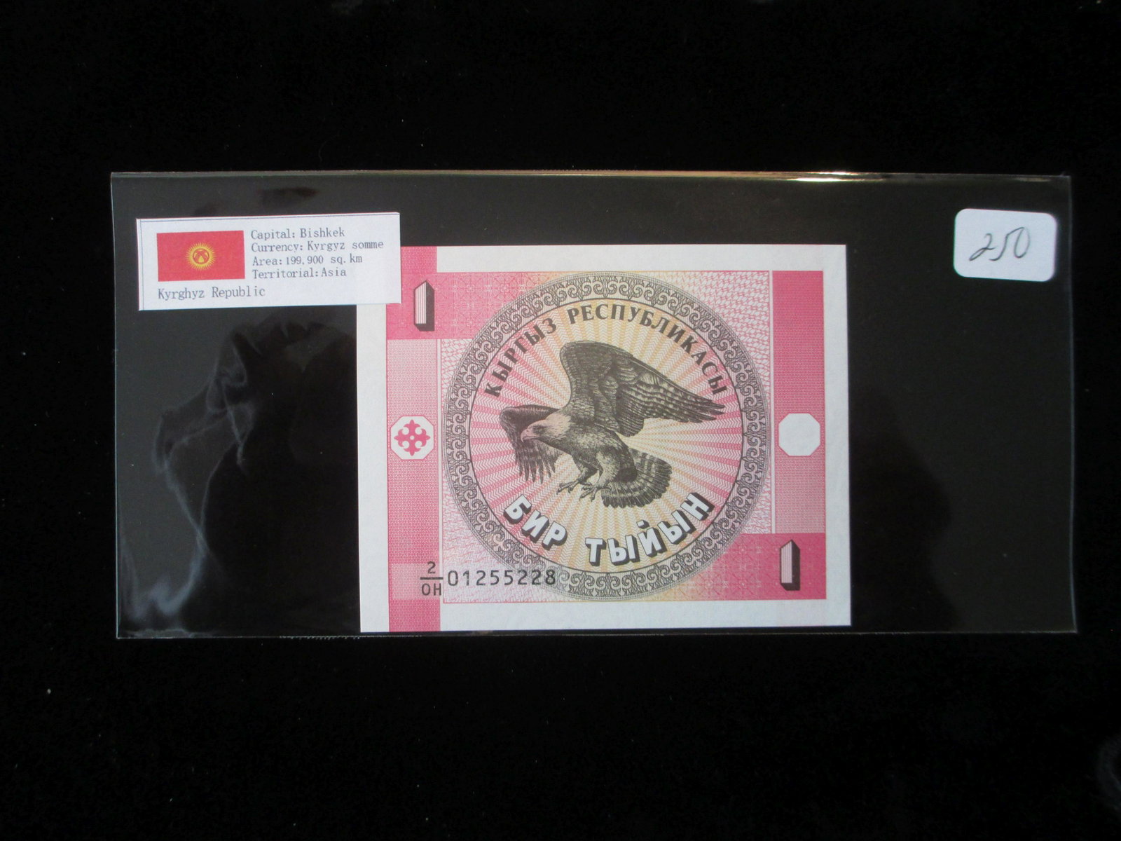 bishkek currency: kyrgyz somme