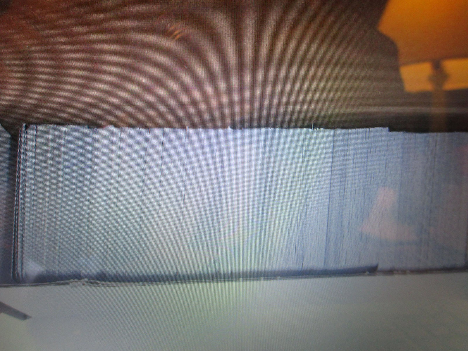 lot of 100 magic the gathering common cards: out of a hoard