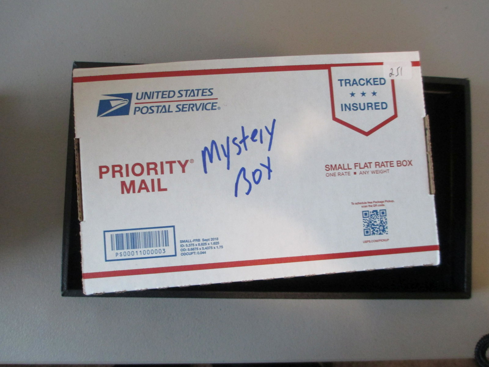 mystery box small flat rate full of non and sports: mystery lot