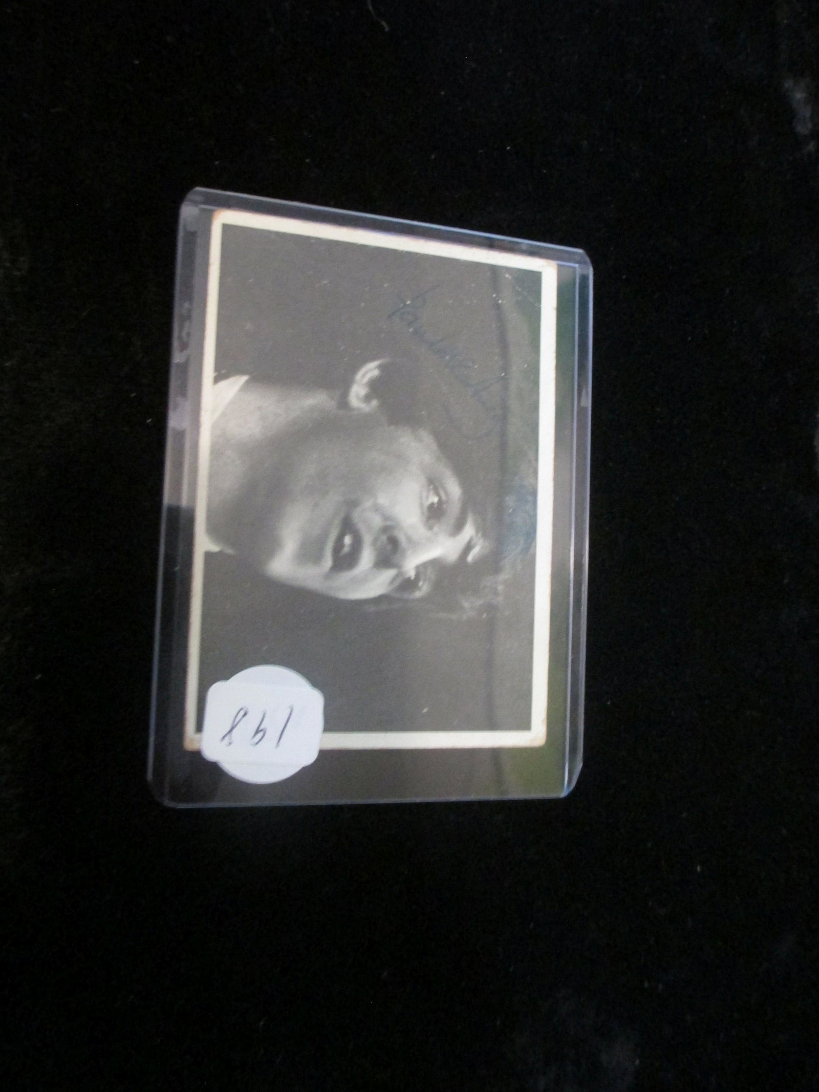 vintage beatles card paul mccartney: in top loaded sleeve