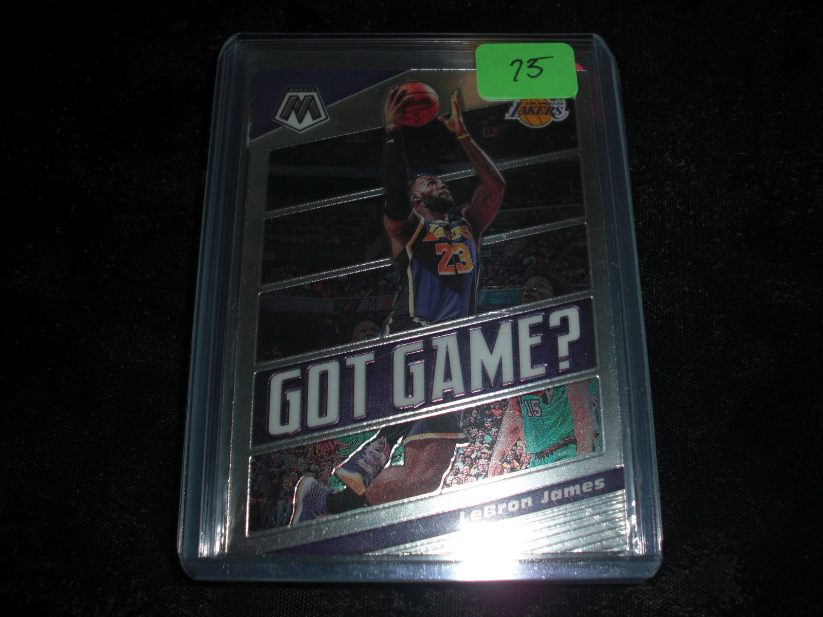 lebron james mosaic got game (1 of 1)