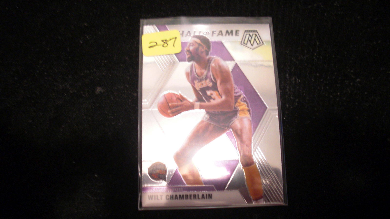 wilt chamberlain mosaic (1 of 1)