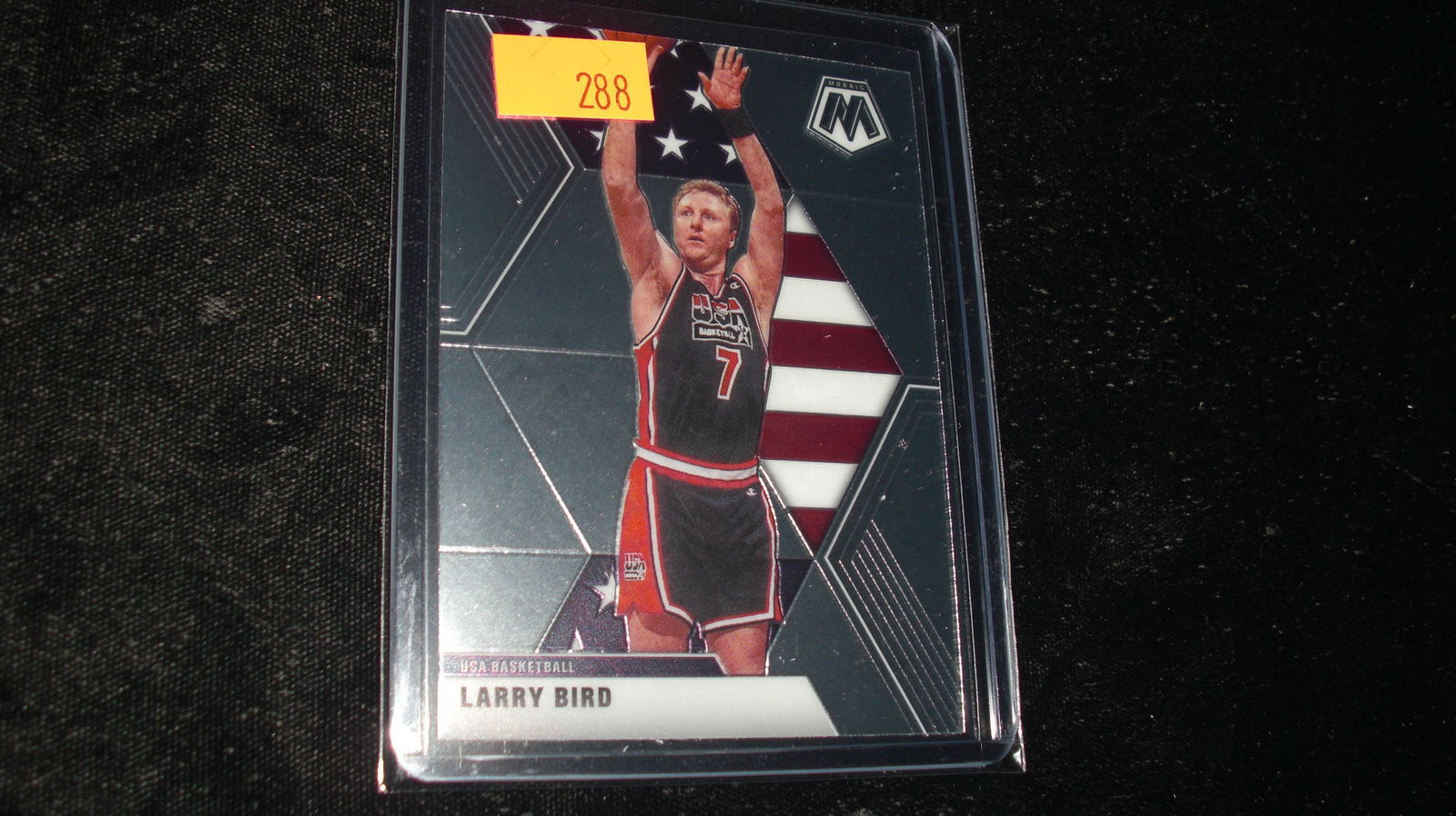 larry bird mosaic no.254 (1 of 1)