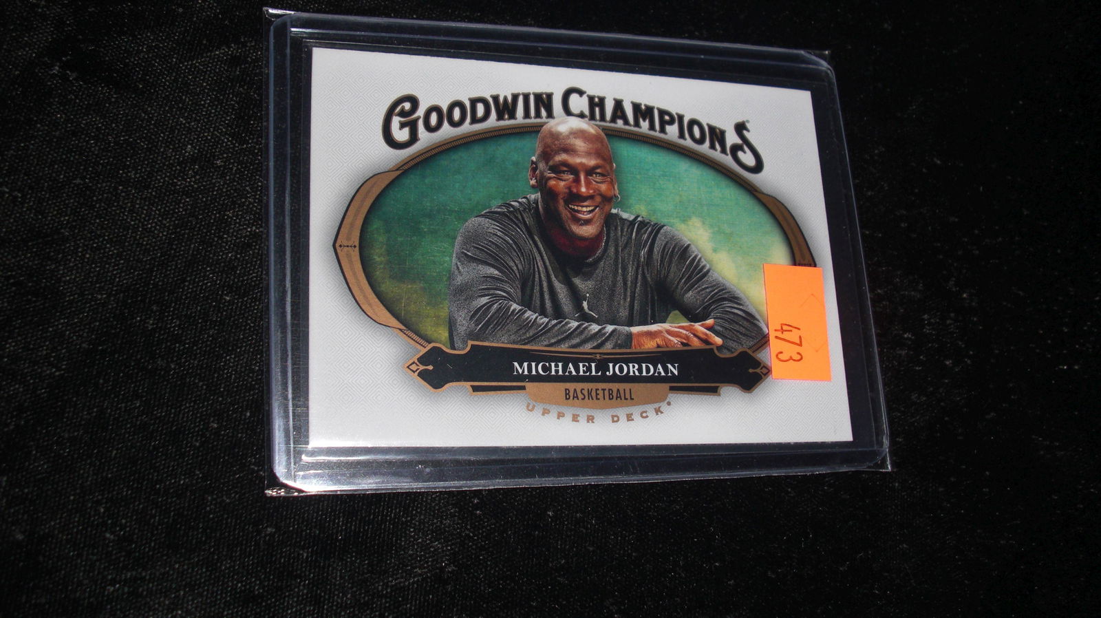 michael jordan goodwin champions (1 of 1)