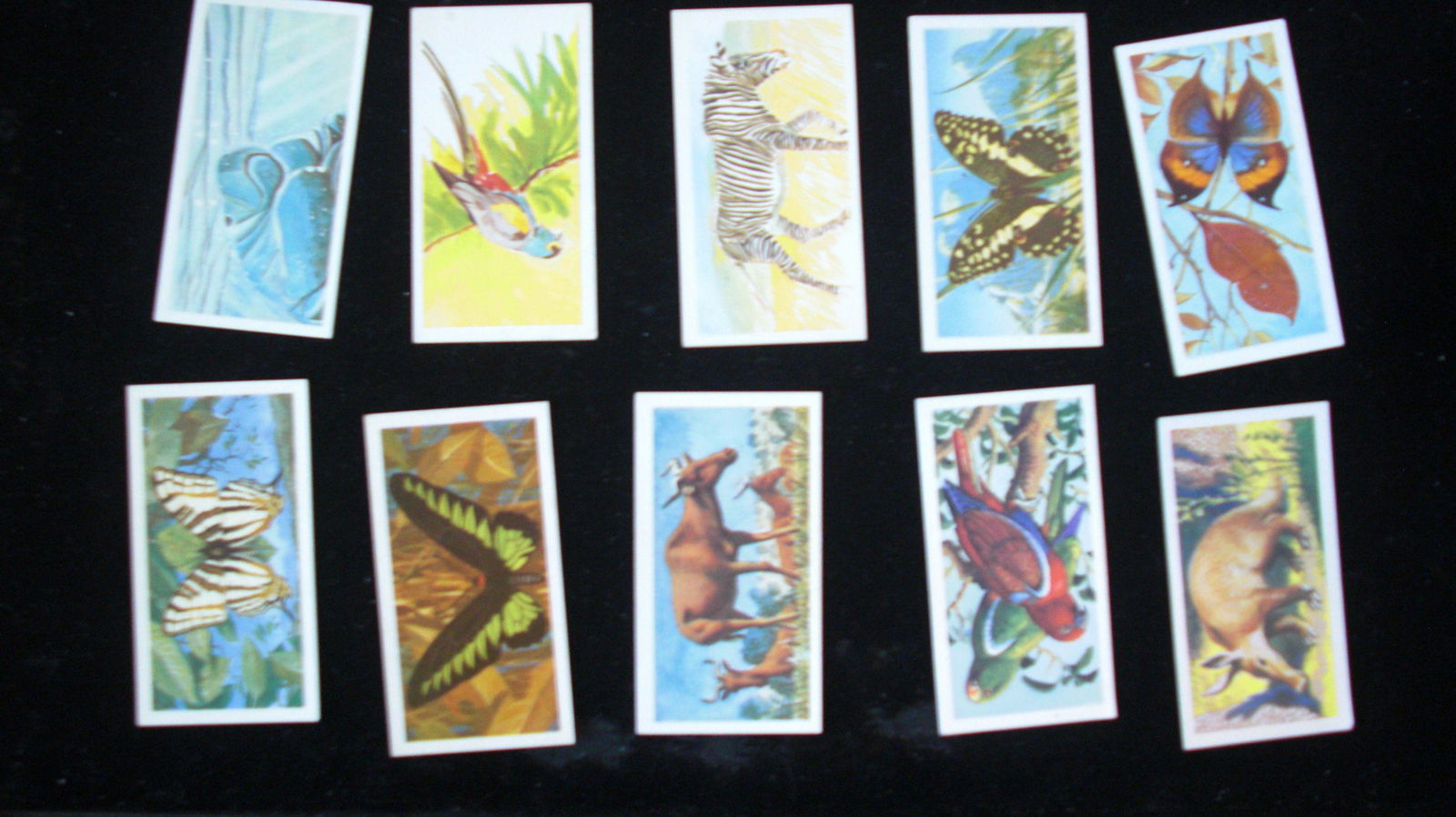 lot of 10 vintage tea cards (1 of 1)