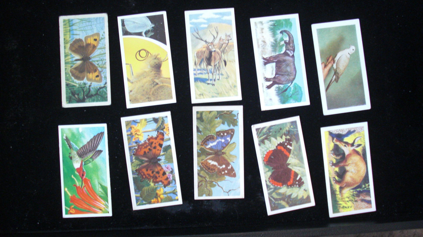 lot of 10 vintage tea cards (1 of 1)