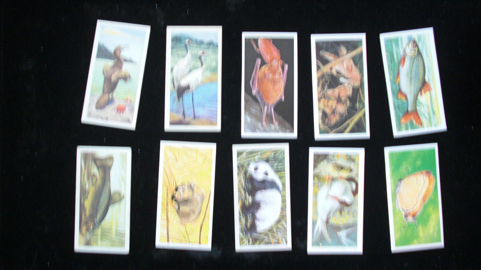 lot of 10 vintage tea cards (1 of 1)