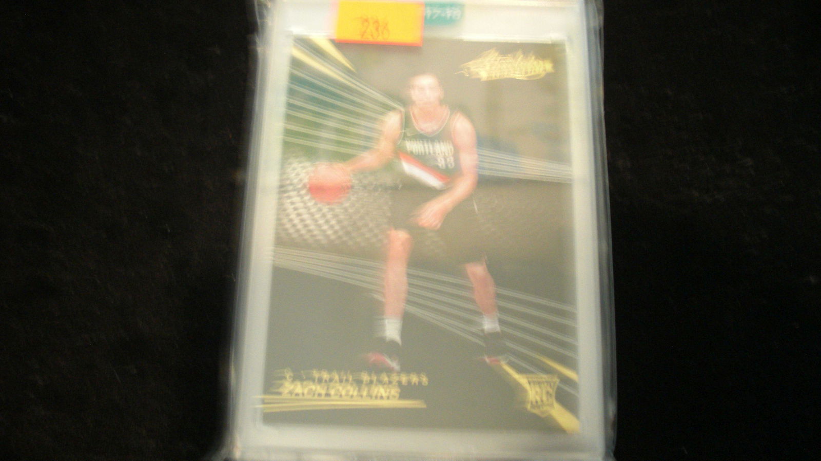 absolute rookie  zach collins (1 of 1)