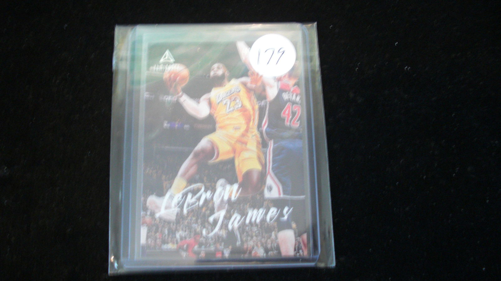 lebron james lakers (1 of 1)