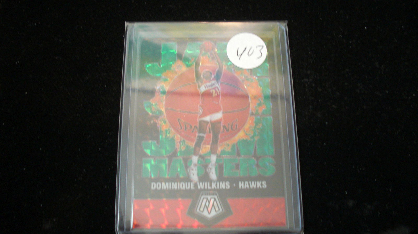 dominique wilkins green master jam (1 of 1)