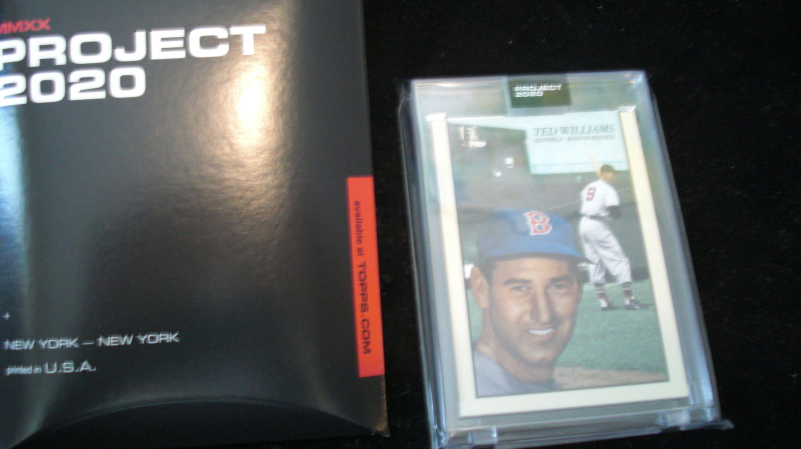 project 2020 ted williams (1 of 1)