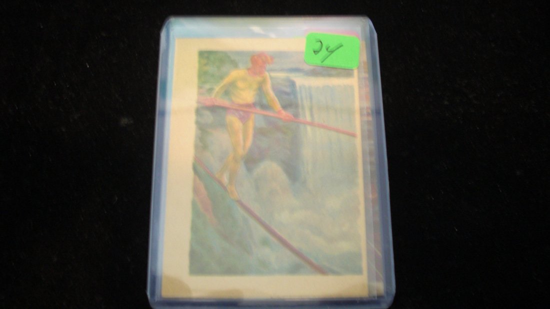 1956 gum card: in top loader