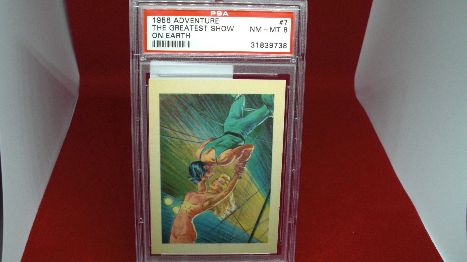 psa graded 1956 adventure greatest show mint 8: nice graded card