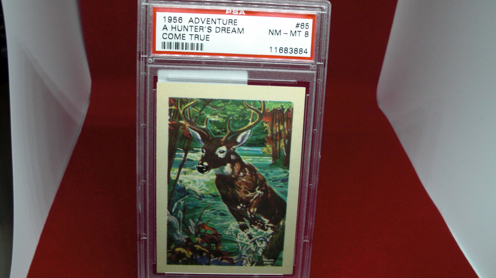 psa graded 1956 adventure hunters dream mint 8: nice graded card