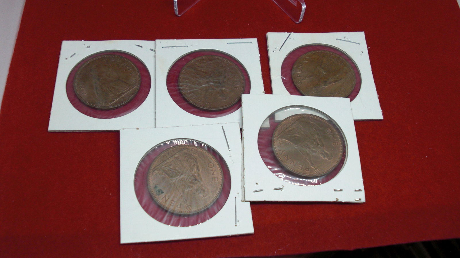 lot of 5 one pennys (1 of 1)