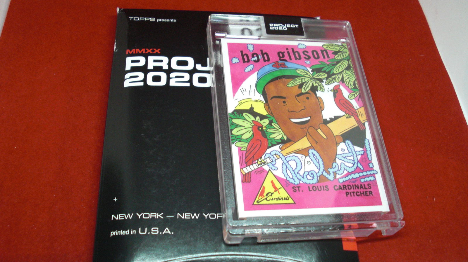 project 2020 in hard plastic case bob gibson (1 of 1)