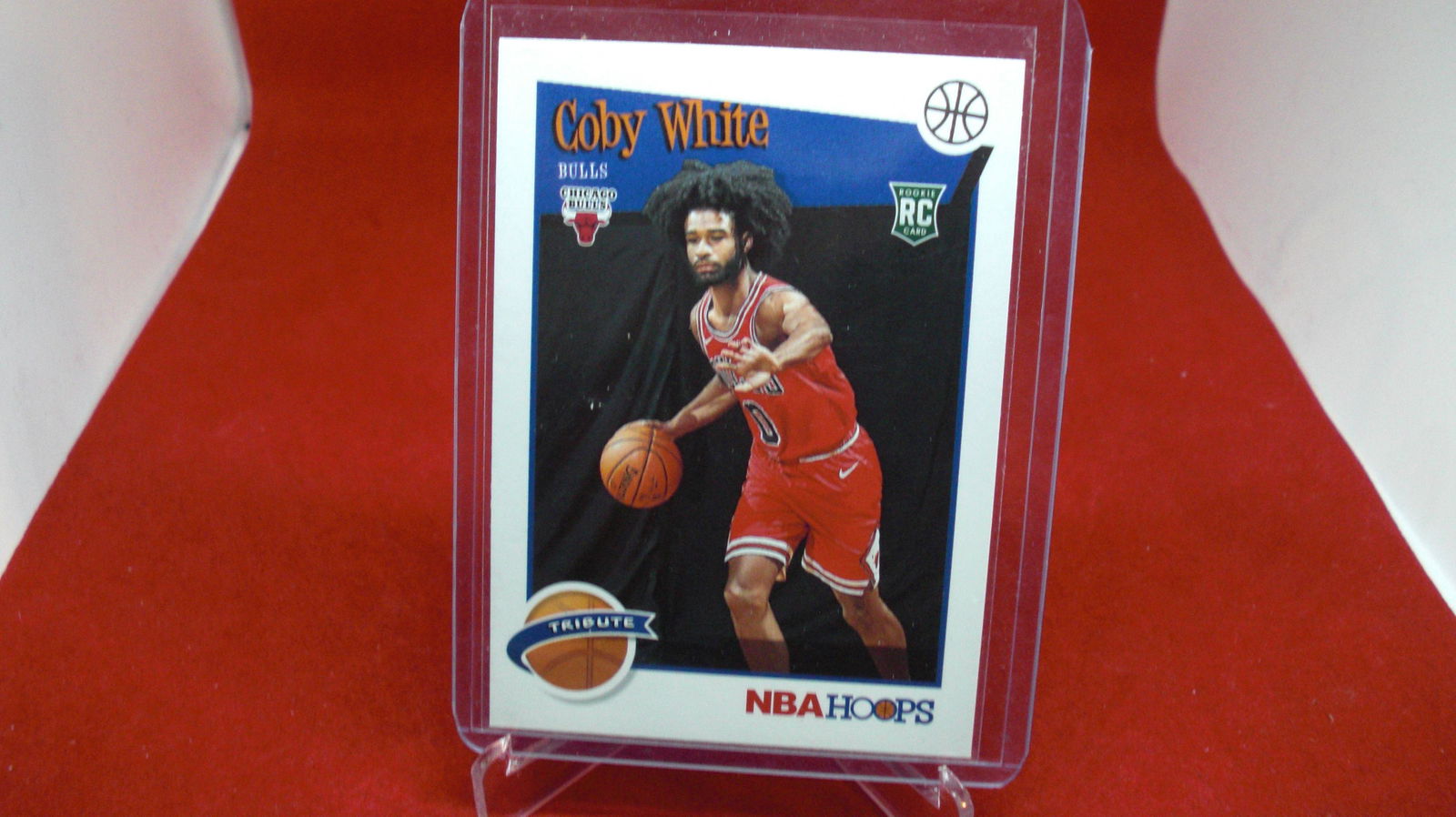 coby white rookie (1 of 1)